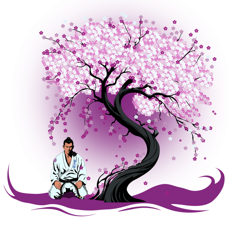asahidojo.ru